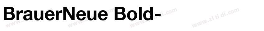 BrauerNeue Bold字体转换